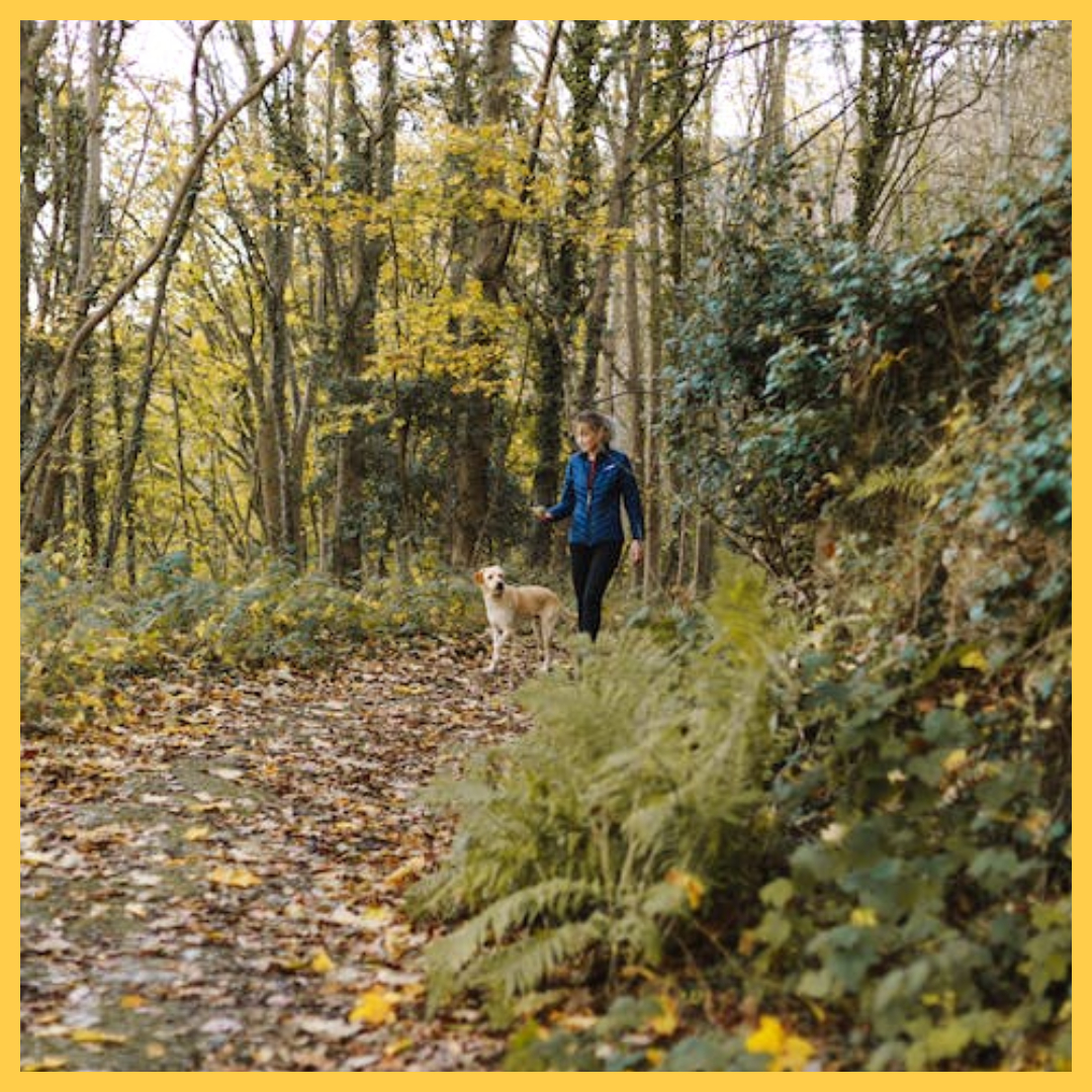 무릎관절에좋은운동