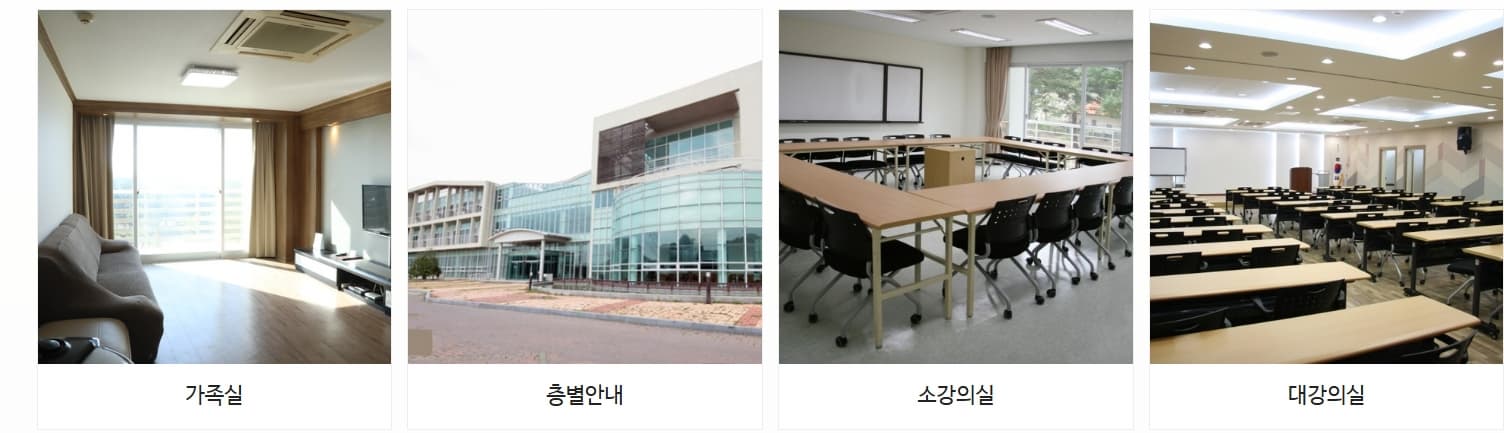 천리포수목원 목련축제｜비공개 정원 개방, 숙박, 온라인예약 팁까지!