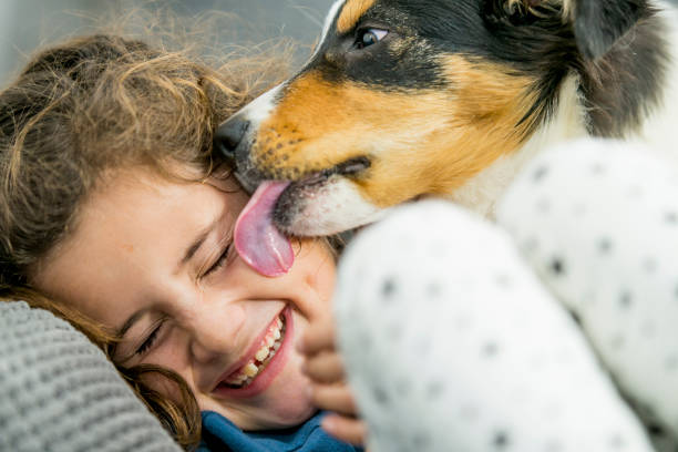 강아지가 주인을 핥는 이유 5가지와 대처방법