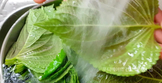 꺳잎을-씻는-모습