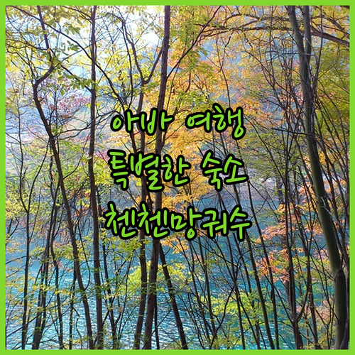 아바 여행 숙소 추천 첸첸망궈수 호텔