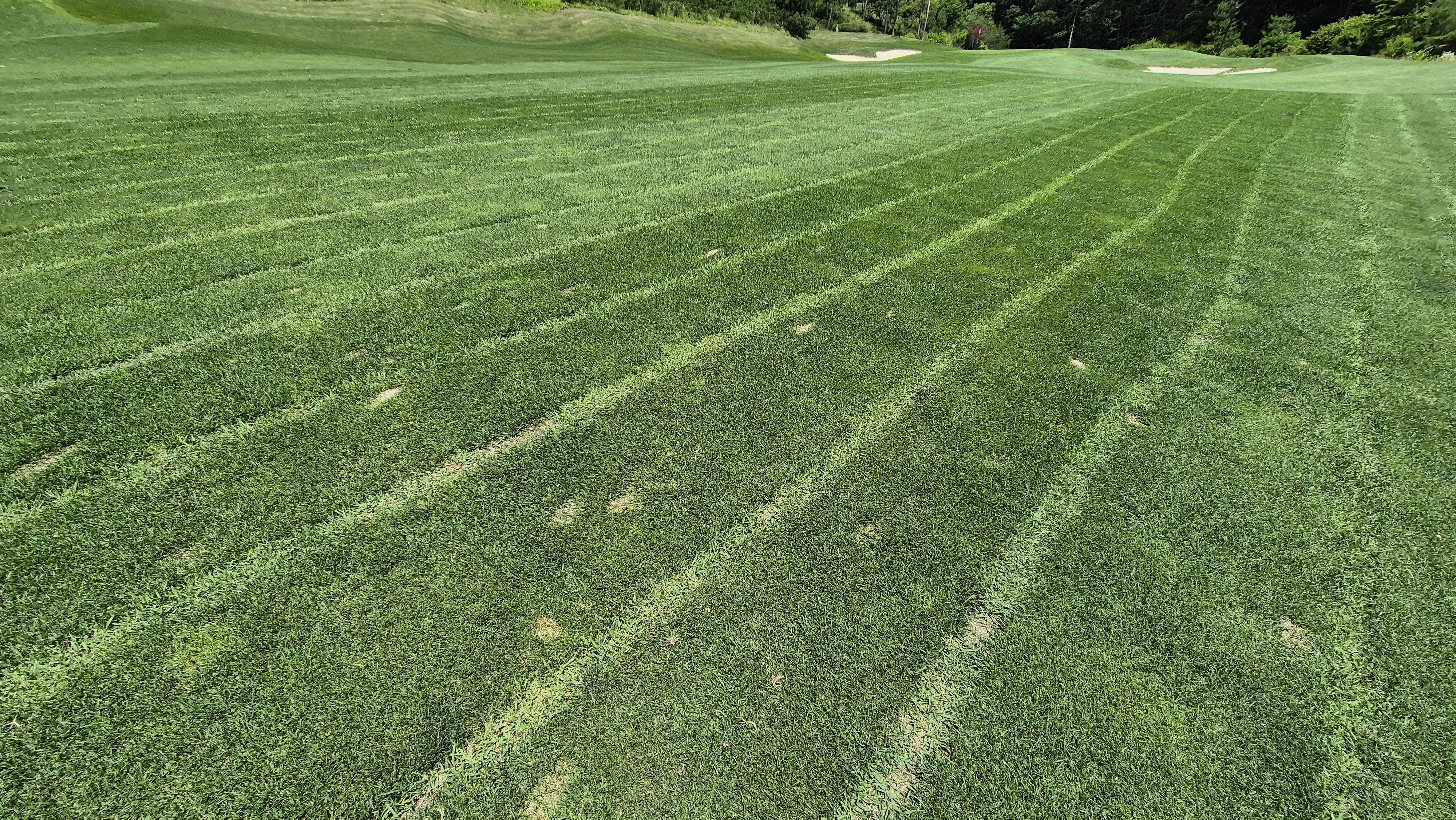 샤인데일cc 라운드 후기