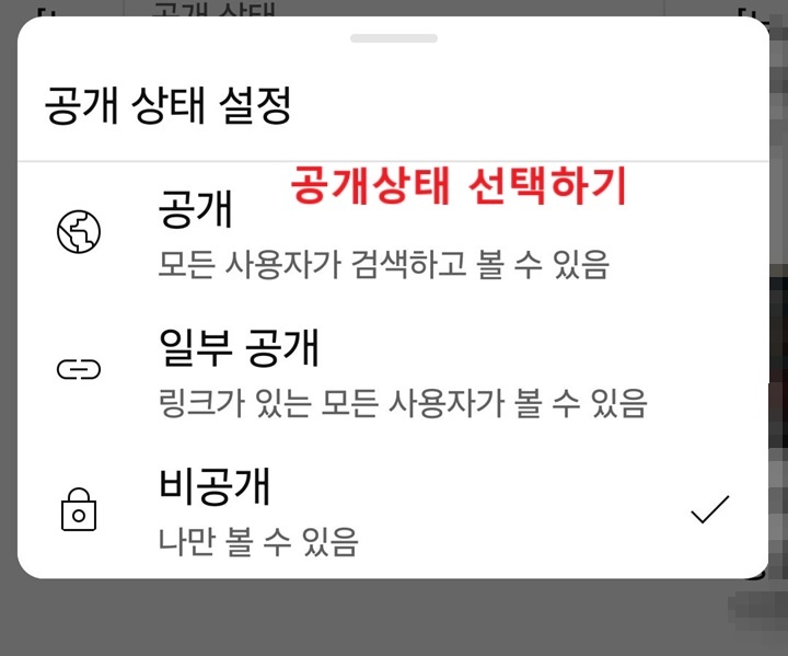 공개 상태 설정 창 보임