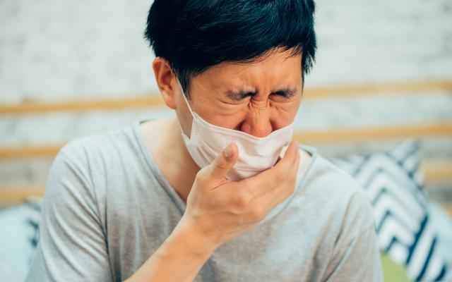 면역력 높이는 제철음식