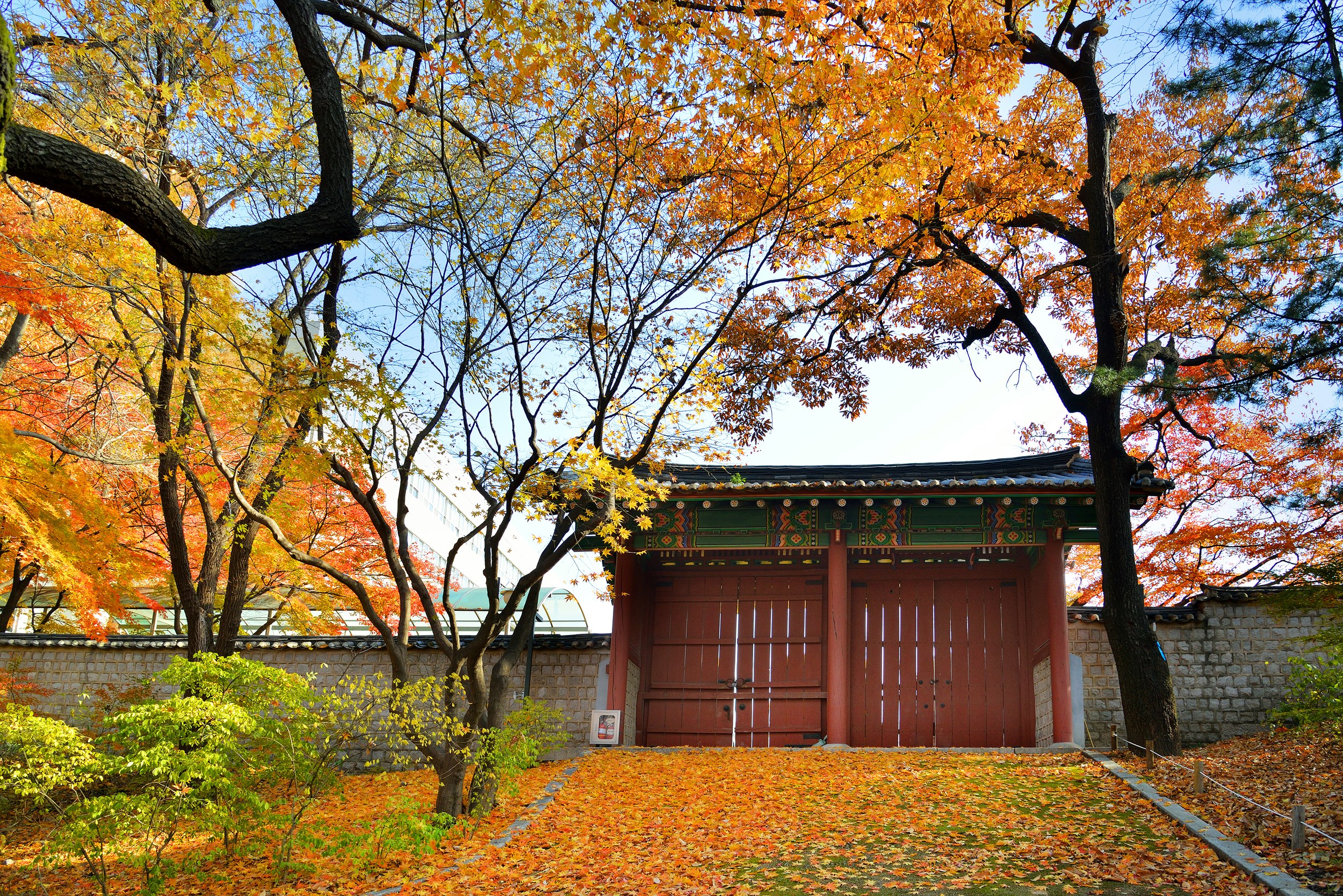 가을 축제 : 가을 여행