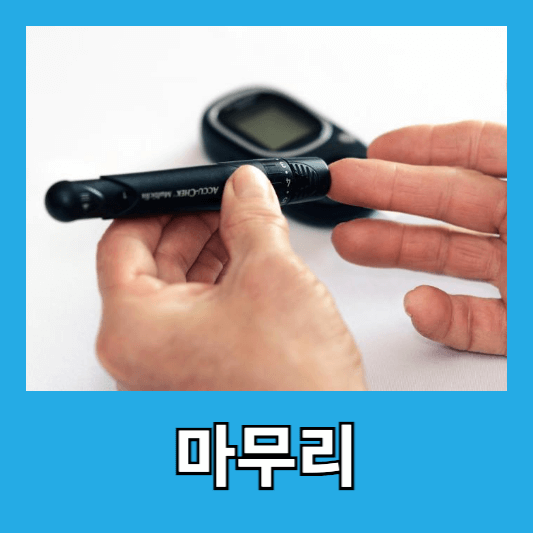 마무리 및 경험 공유