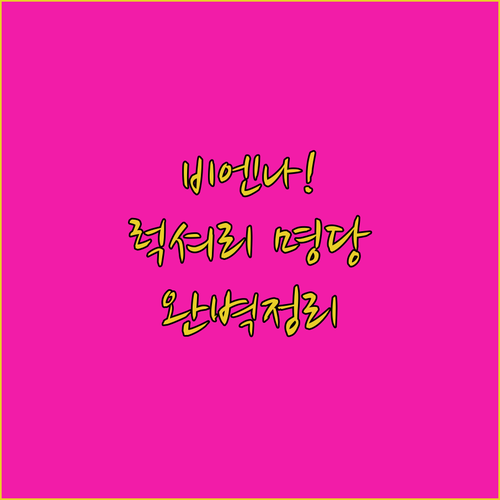 비엔나 시내 중심 럭셔리 호텔 추천 ..