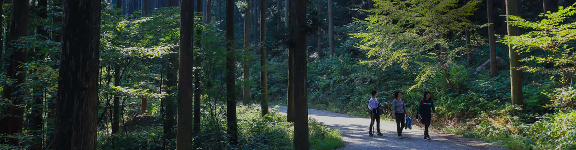 숲나들이E 예약