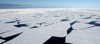 빙하가 무너지기 전 보내는 미세한 경고를 읽는 특수직업인, 빙하 미세균열 움직임 예측 분석가