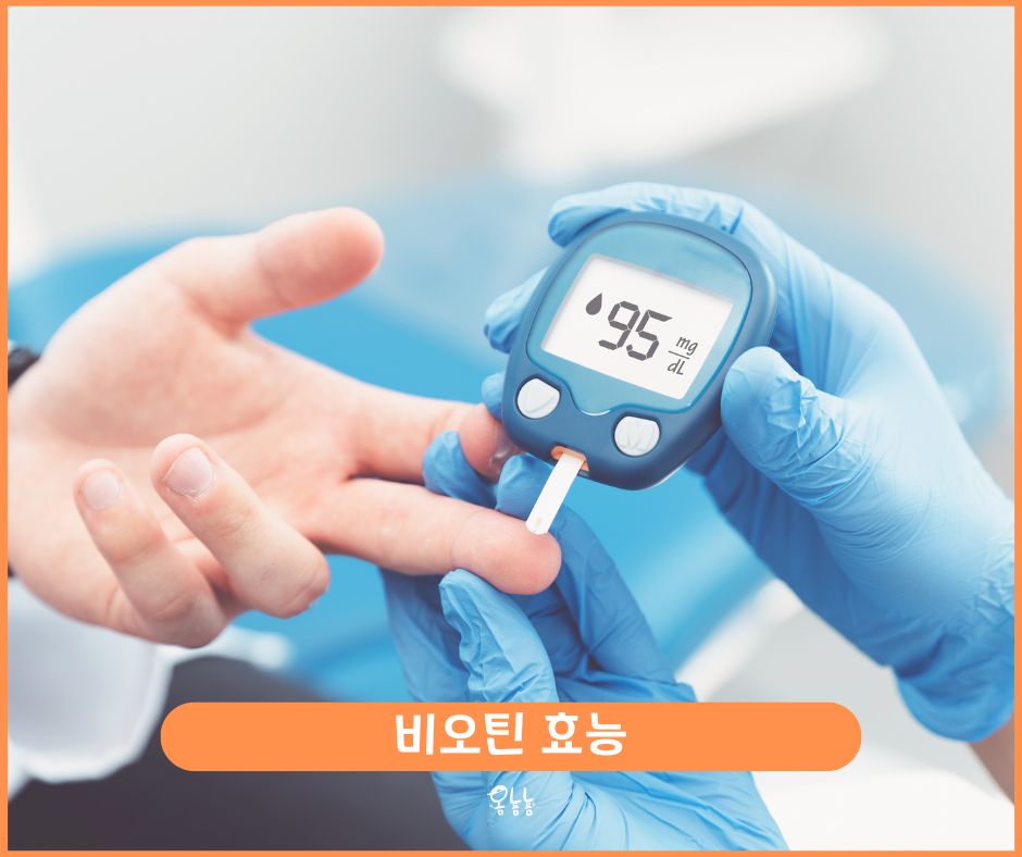 비오틴 효능