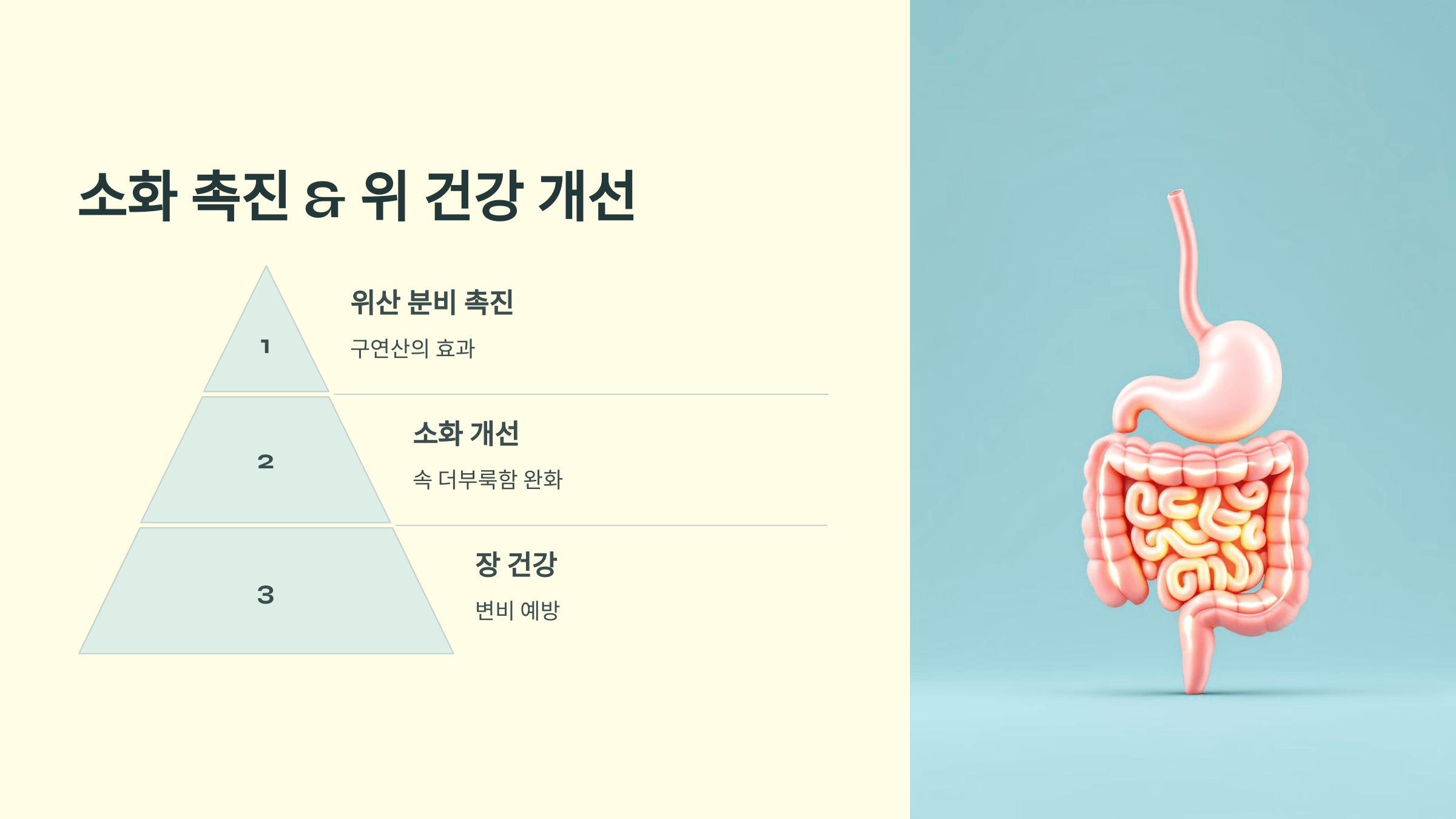 레몬즙 사진입니다.