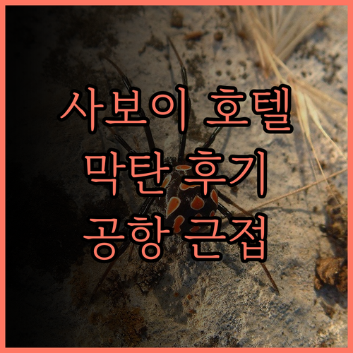 사보이 호텔 막탄 뉴타운, 공항 근접