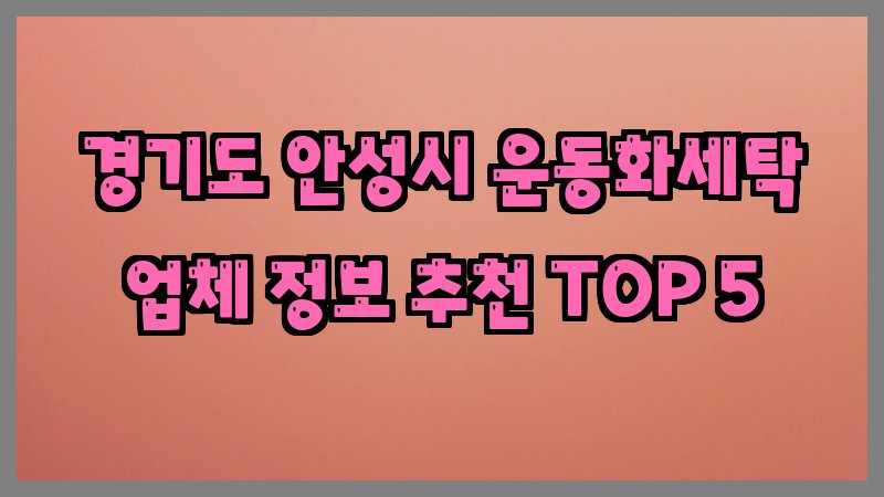 경기도 안성시 운동화세탁