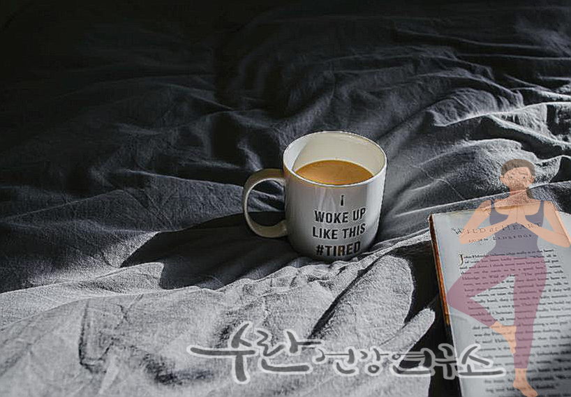 비맥스 메타 가격