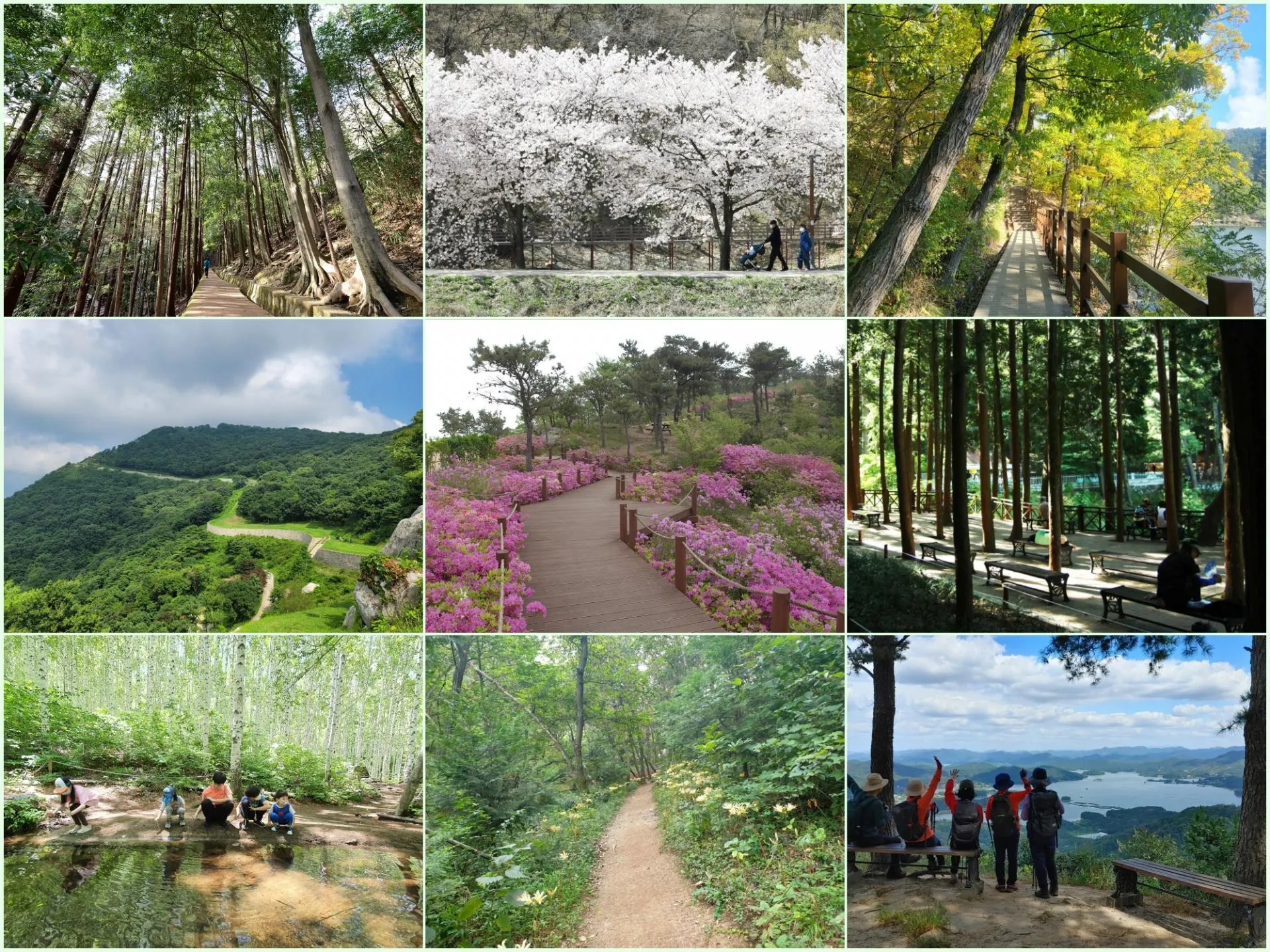 걷기좋은 명품 숲길 30선 숨겨진 코스_1