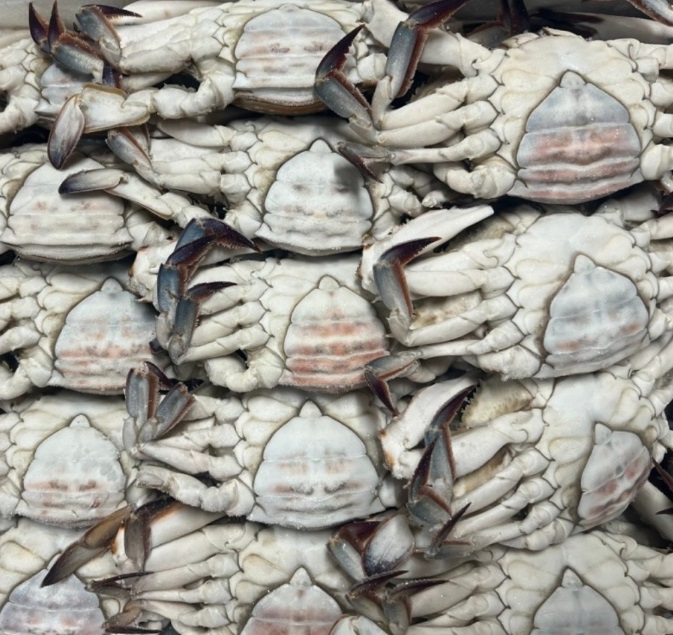 생생정보-포천-청진동간장게장