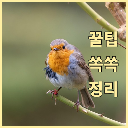 염창동 쓰레기 버리기 전 필독! 과태..