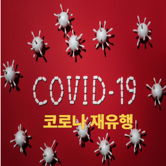 코로나재유행