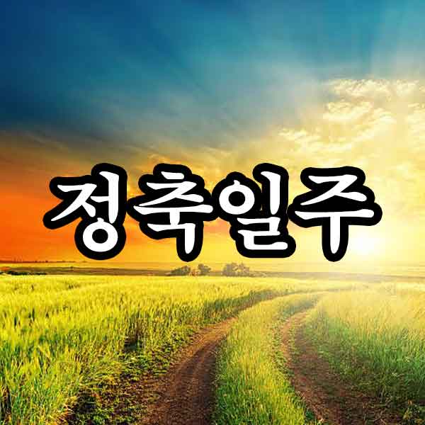 일주론 - 정축