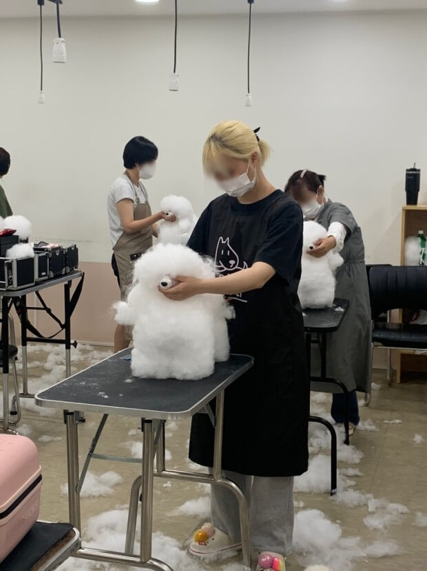 강아지 미용사 학습과정