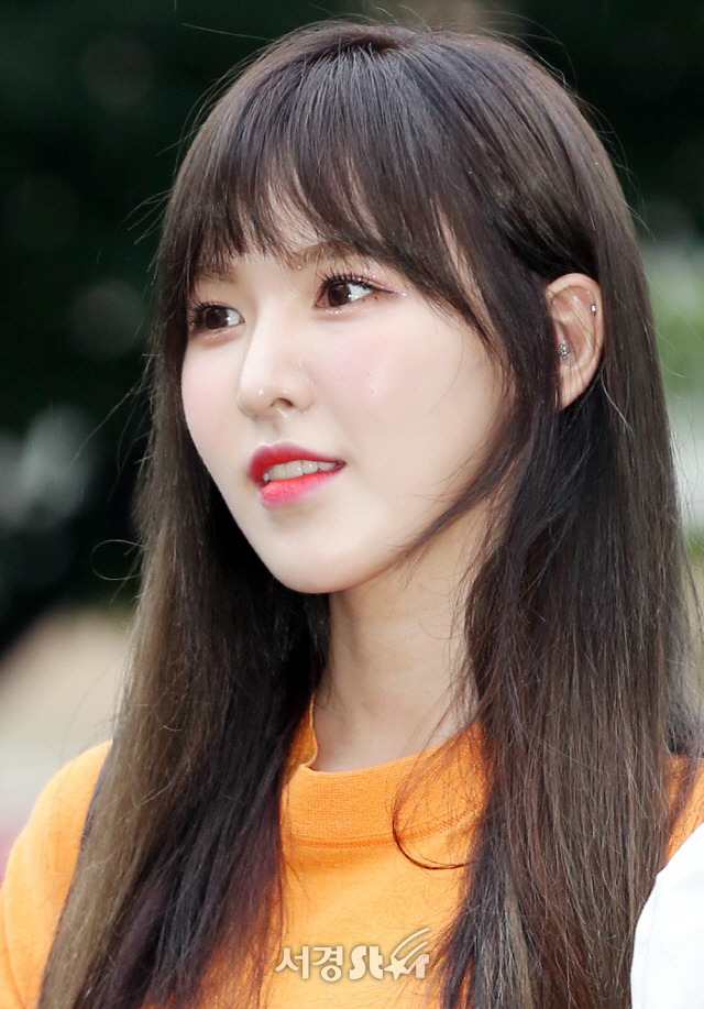 웬디 방송 활동