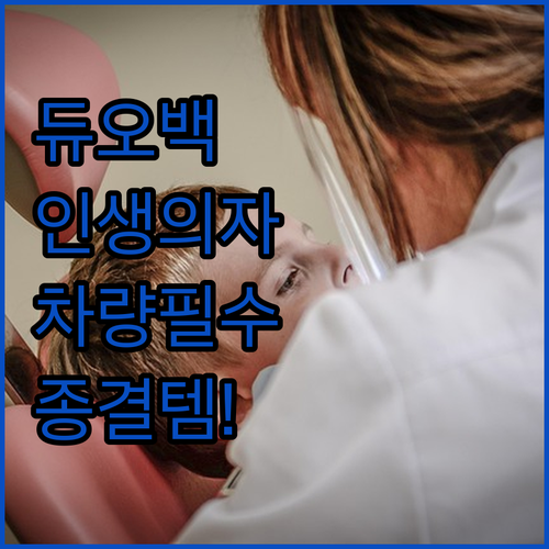 듀오백 사무용 게이밍 의자 및 차량용..