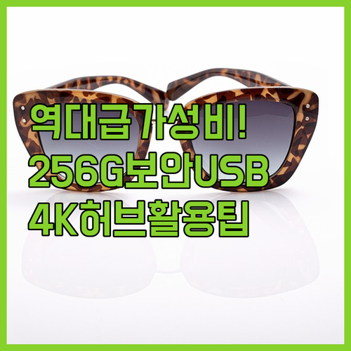 가성비 좋은 256GB 보안 USB와..