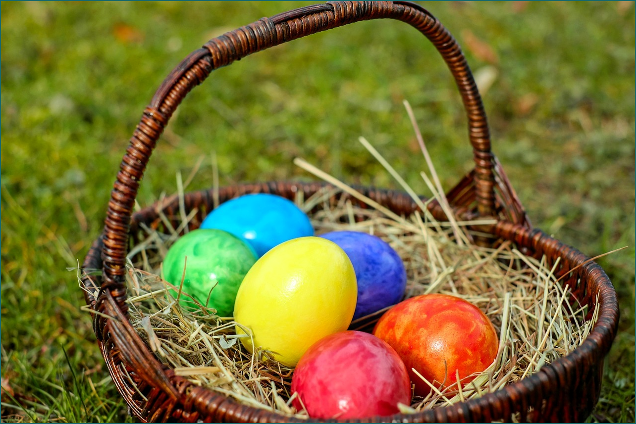 생생정보 가격파괴 why 돼지갈비