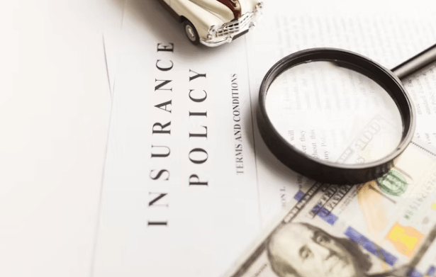 마이데이터로 내 보험료가 안 보이는 이유