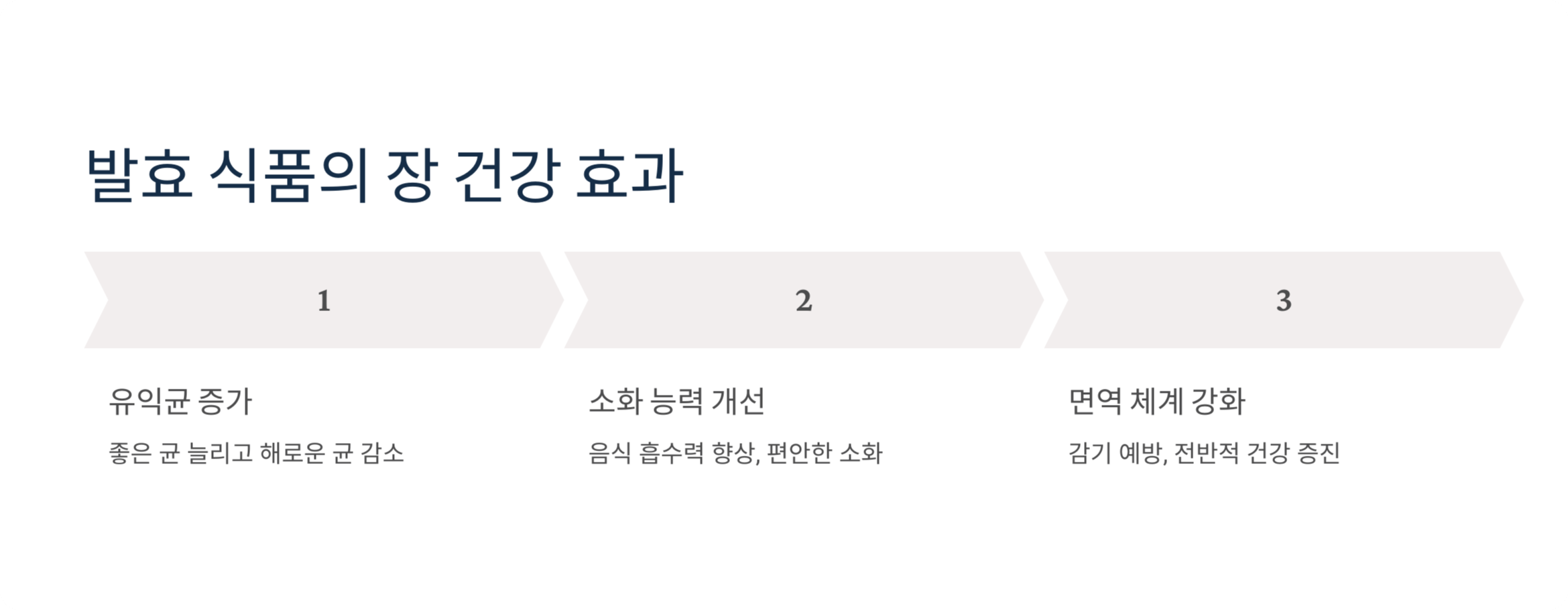 3. 발효 식품이 장 건강에 좋은 이유