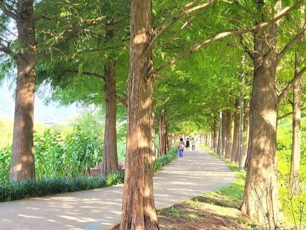 하남 가볼만한곳 베스트 10