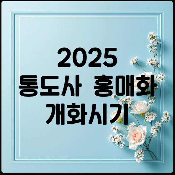 통도사 홍매화 개화시기