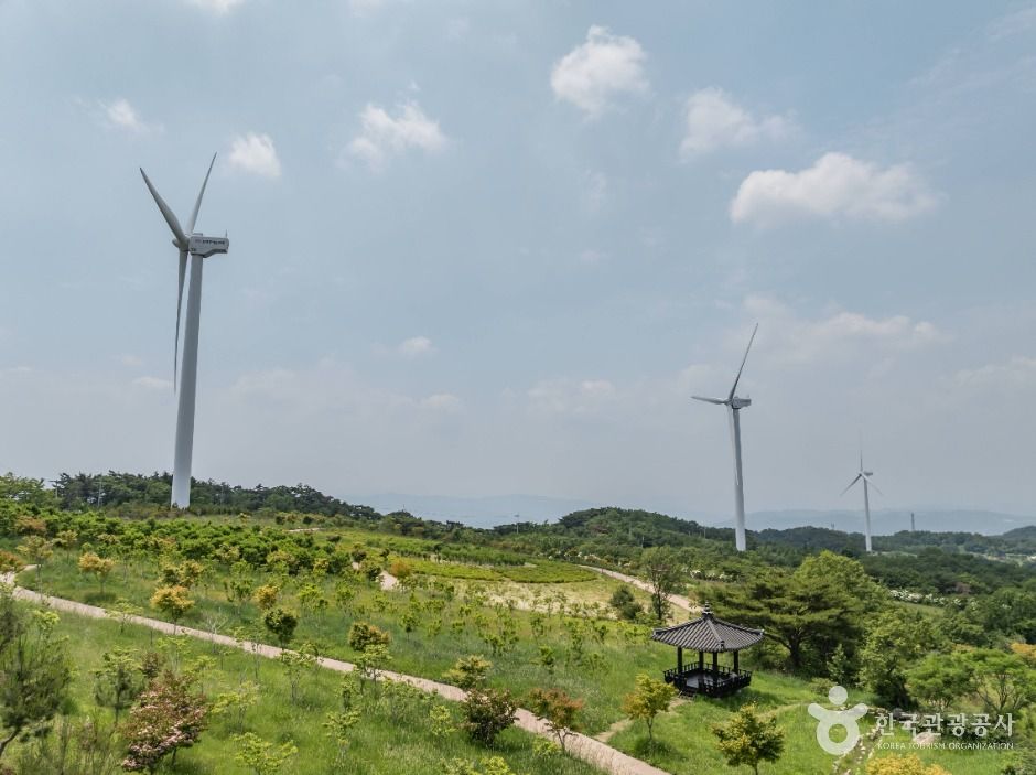 경주 바람의언덕