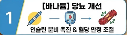 멍게 효능