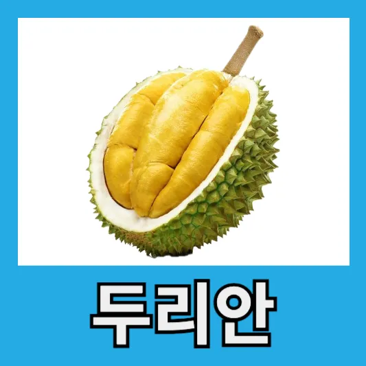 소개