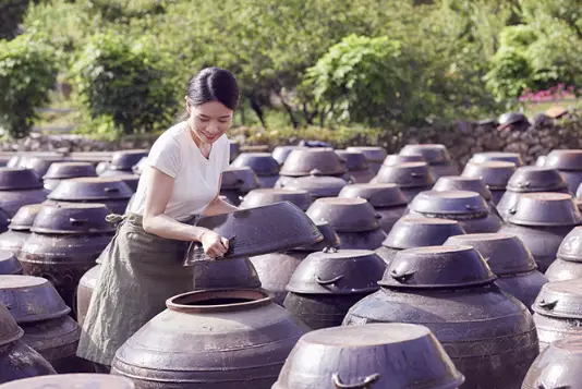 예소담-포기김치-발효과정