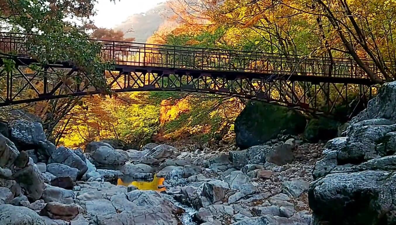 피아골계곡