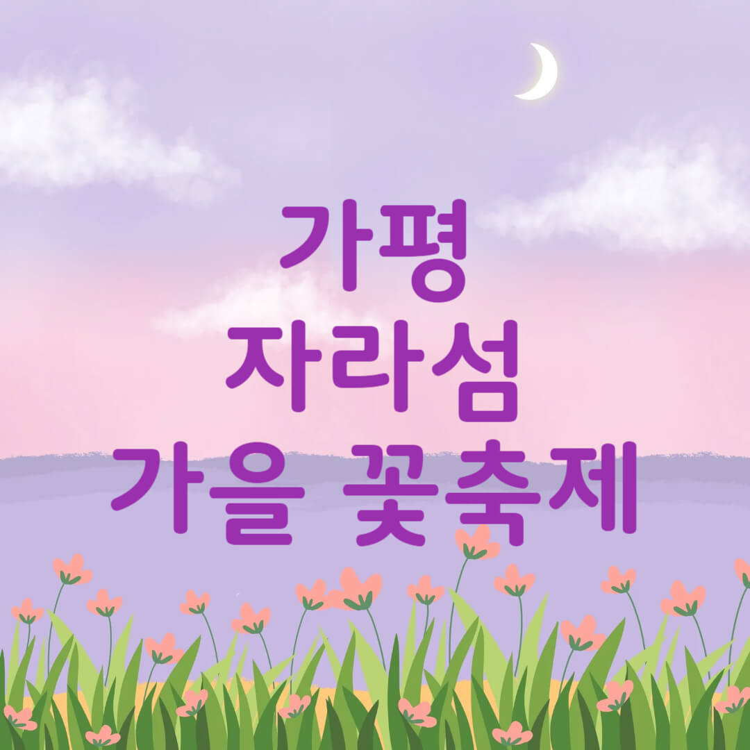 가을 자라섬 꽃축제