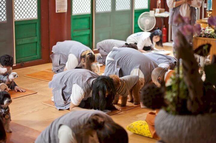 108배를 하는 사람들