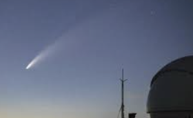 ENFP 유형 특징 분석