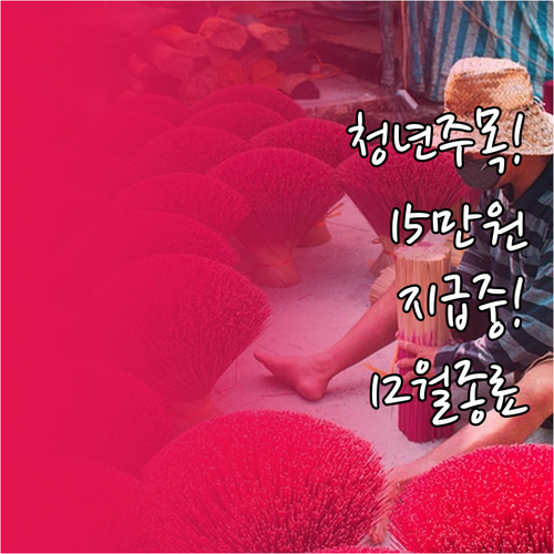 청년문화예술패스 15만원 지급 구조 ..