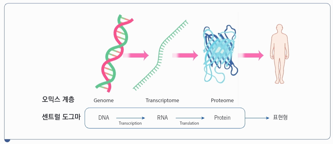 유전자 발현 관련 사진