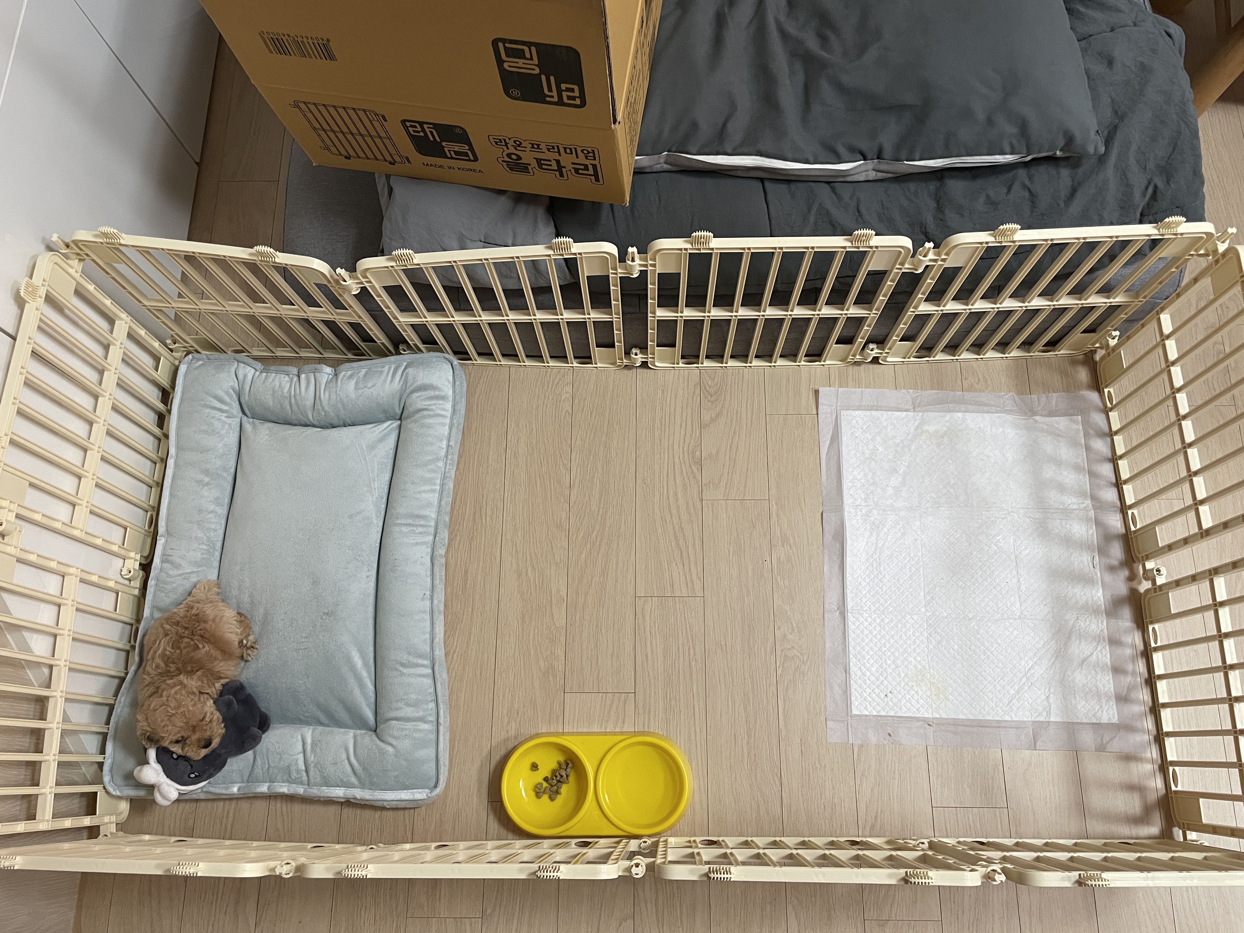 토이푸들 울타리