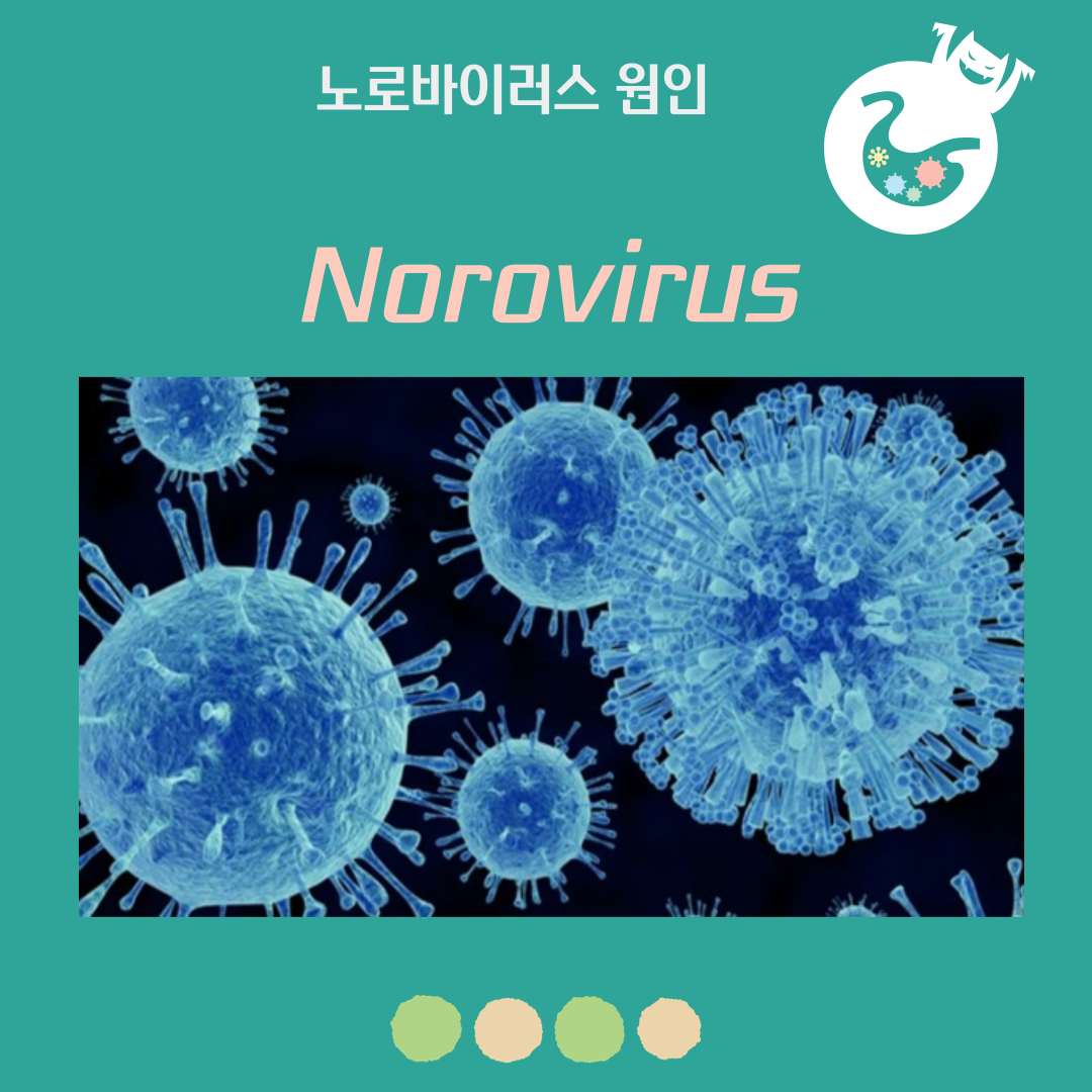 노로바이러스