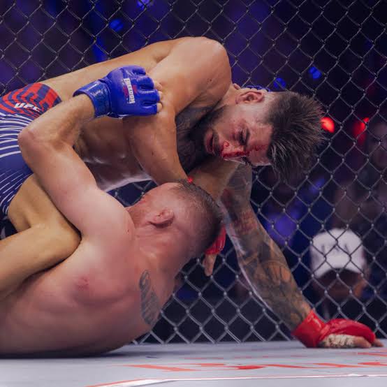 2026 UFC 프리덤 250 관련 이미지