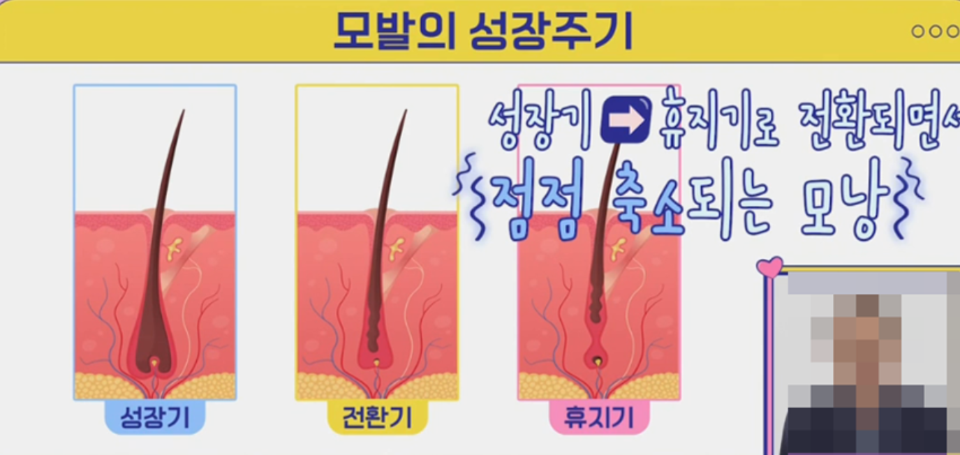 케라넷