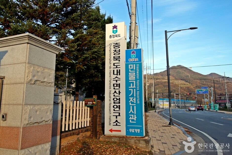 충주 가볼만한곳 베스트 10
