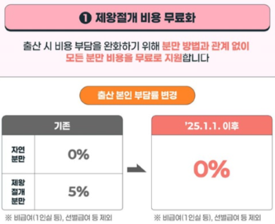 2025 출산정책