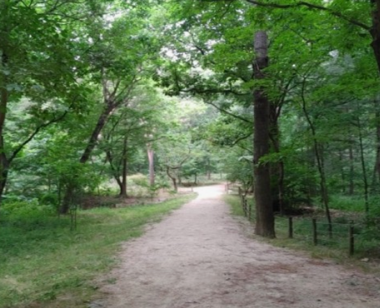 전국수선화명소