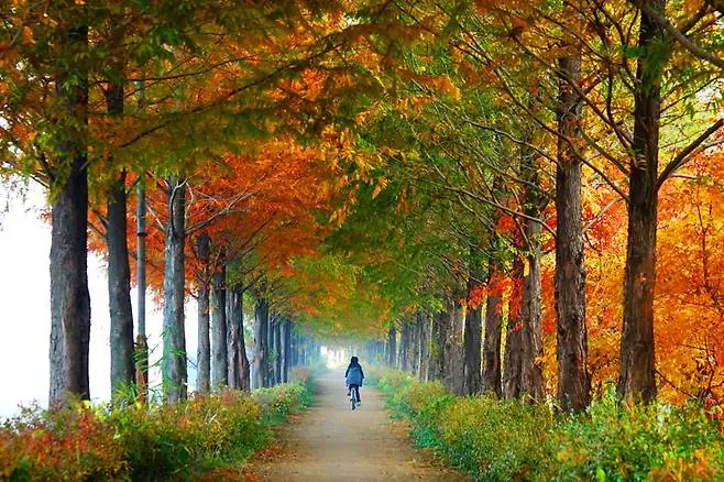 정안천생태공원